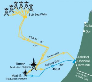 Illustration of tamar