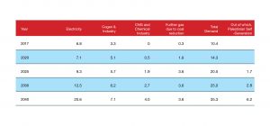 GAS DEMAND FORECAST SUMMARY Demand by Type of Gas Consumer, in BCM